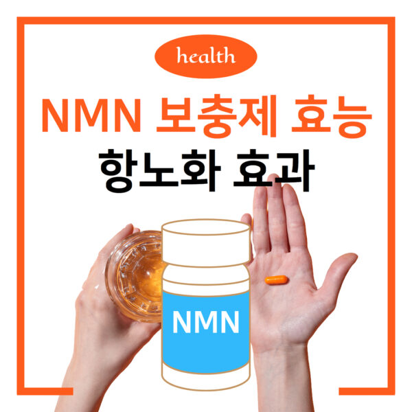 NMN 보충제 효능 항노화 효과